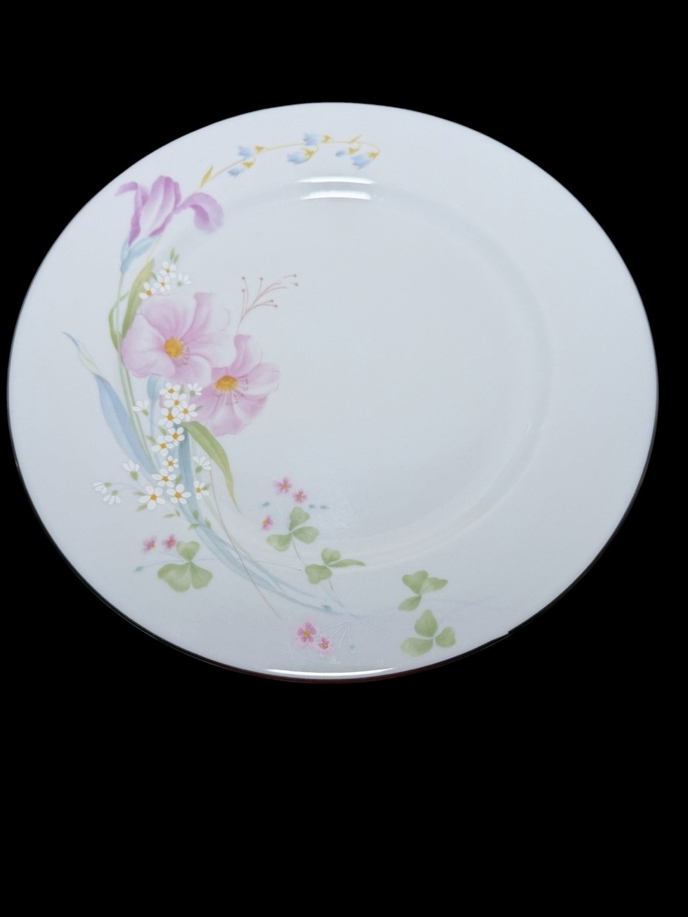 Vintage Studio Nova “Pink Vista” (MA202) Floral Fine China Dinner Plate 10 5/8”
